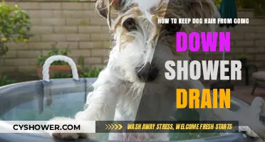 Prevent Dog Hair Clogs: Shower Drain Maintenance Tips for Pet Owners
