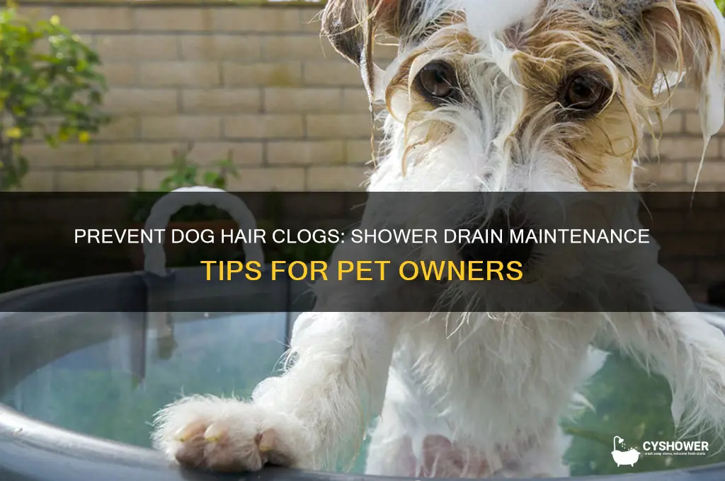 how to keep dog hair from going down shower drain