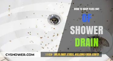 Effective Ways to Prevent Flies from Infesting Your Shower Drain