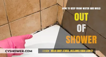 Prevent Water and Mold: Effective Shower Maintenance Tips for a Clean Bathroom