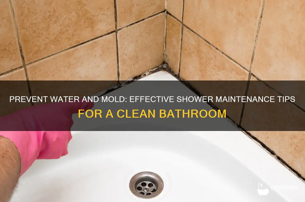 how to keep from water and mold out of shower