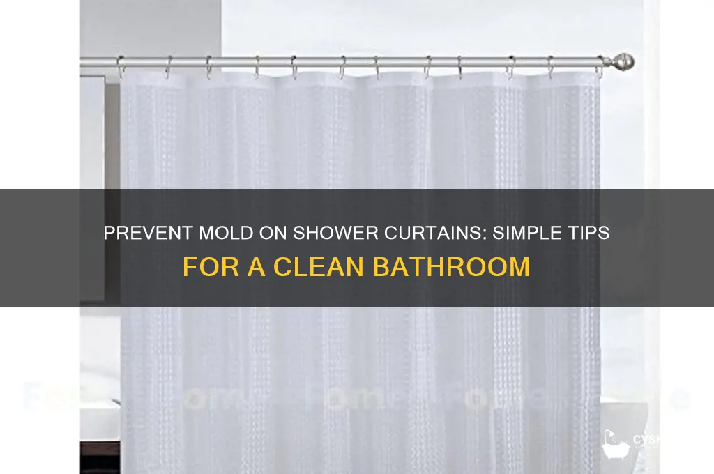 how to keep mold away from shower curtain