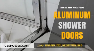 Prevent Mold on Aluminum Shower Doors: Easy Cleaning & Maintenance Tips