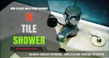 Prevent Mold in Your Tile Shower: Simple, Effective Cleaning Tips