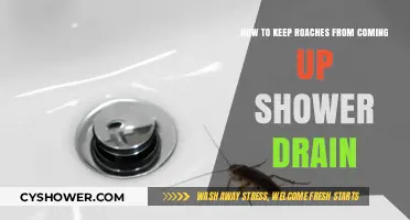 Prevent Roaches in Shower Drains: Effective Tips and Solutions