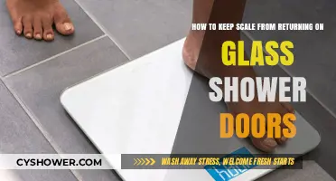Prevent Shower Door Scale: Easy Tips to Keep Glass Spotless