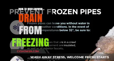 Prevent Frozen Shower Drains: Essential Winter Maintenance Tips