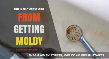 Prevent Mold in Your Shower Drain: Simple Cleaning Tips and Tricks