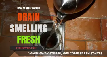 Freshen Your Shower Drain: Simple Tips for a Clean, Odor-Free Bathroom