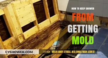 Prevent Mold in Your Shower: Simple, Effective Cleaning Tips