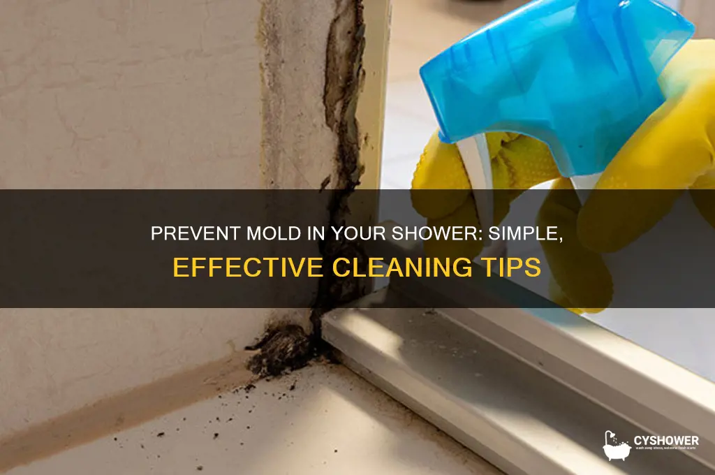 how to keep shower from getting mold