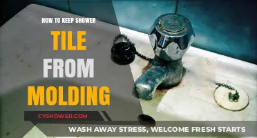 Prevent Shower Tile Mold: Effective Cleaning and Maintenance Tips