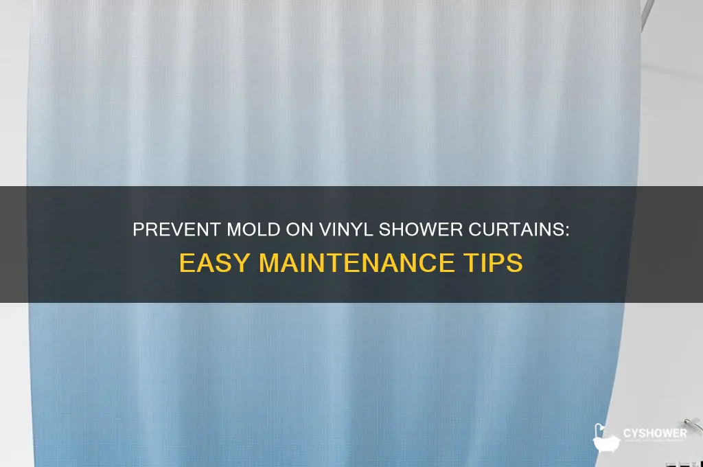 how to keep vinyl shower curtain from molding