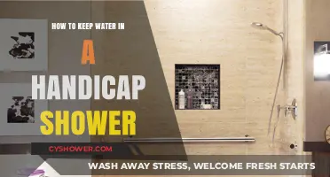 Accessible Shower Solutions: Tips for Maintaining Water in Handicap Showers