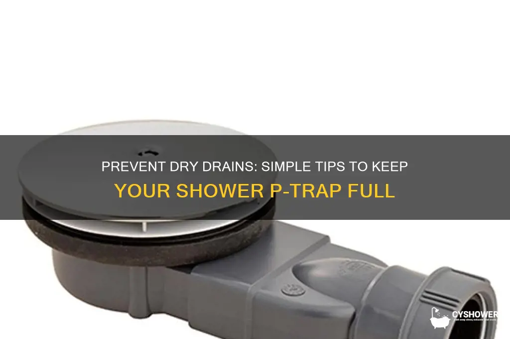 how to keep water in your shower drain s trap