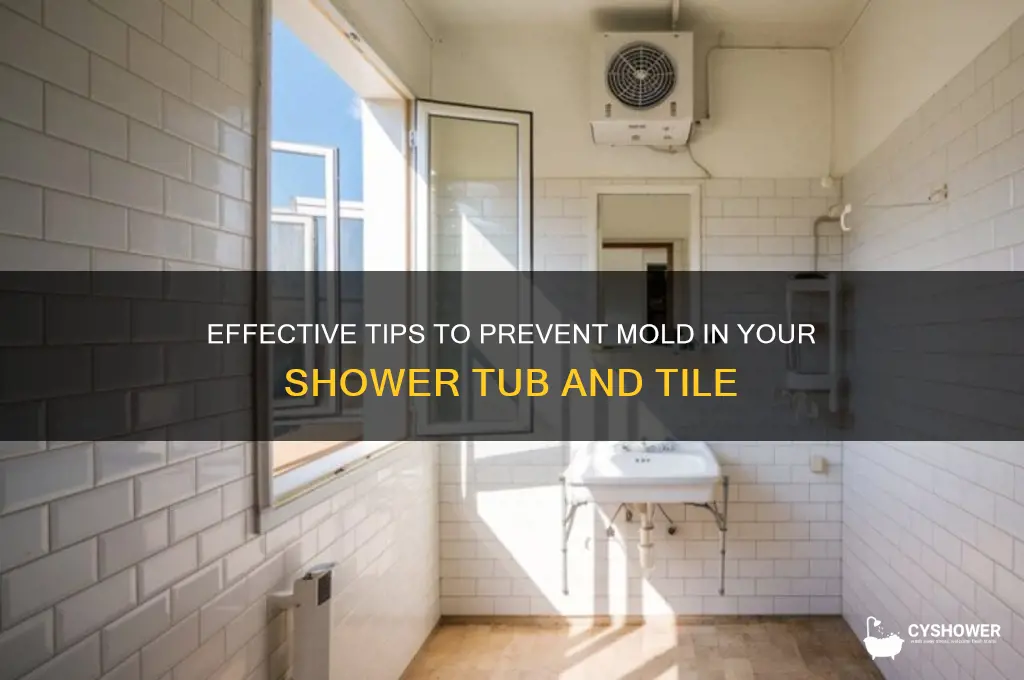 how to keep your shower tub and tile mold free