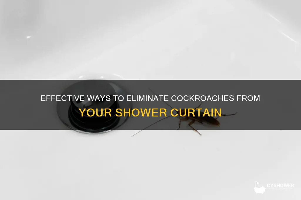 how to kill a cockroach on shower curtain