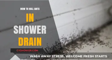 Effective Ways to Eliminate Ants from Your Shower Drain