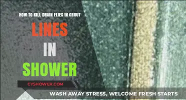 Effective Ways to Eliminate Drain Flies in Shower Grout Lines