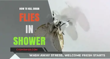 Effective Ways to Eliminate Drain Flies in Your Shower Quickly