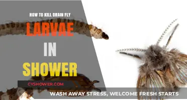 Effective Ways to Eliminate Drain Fly Larvae in Your Shower