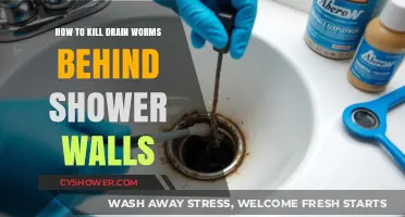 Effective Ways to Eliminate Drain Worms Behind Shower Walls