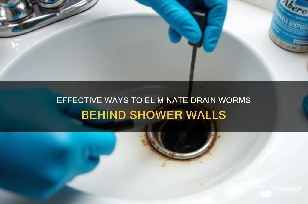 how to kill drain worms behind shower walls