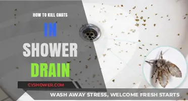 Effective Ways to Eliminate Gnats from Your Shower Drain Fast