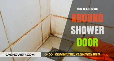 Effective Ways to Eliminate Mold Around Your Shower Door