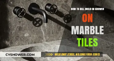 Effective Ways to Eliminate Mold on Marble Shower Tiles