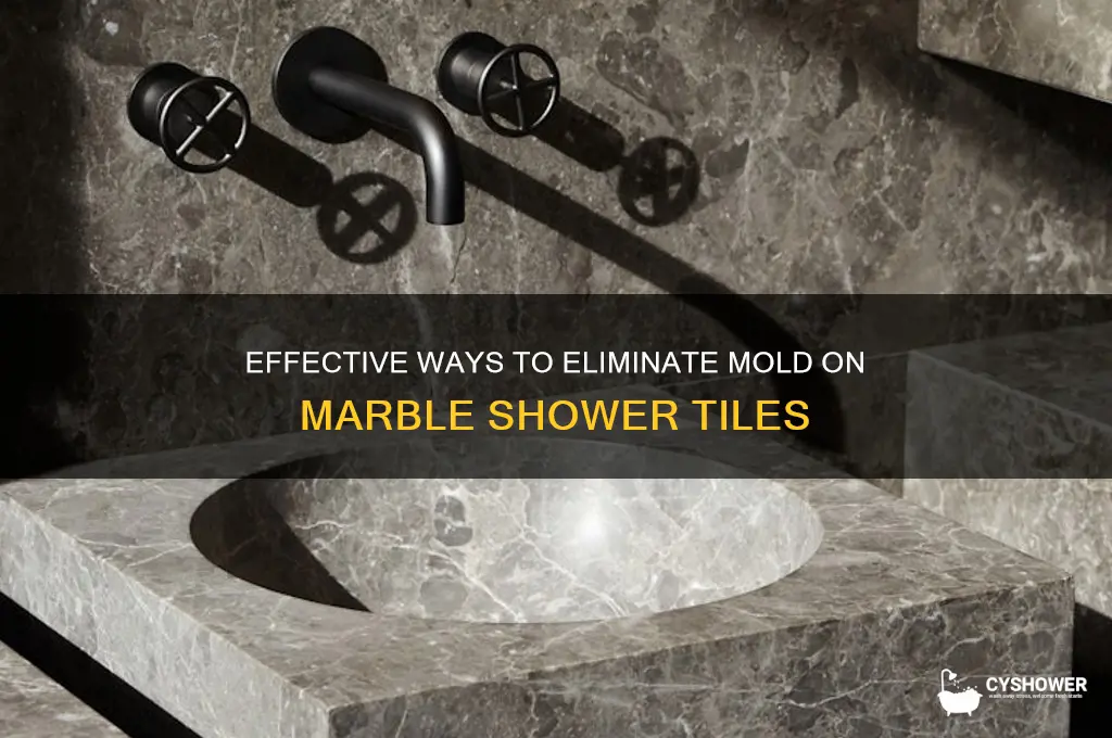 how to kill mold in shower on marble tiles