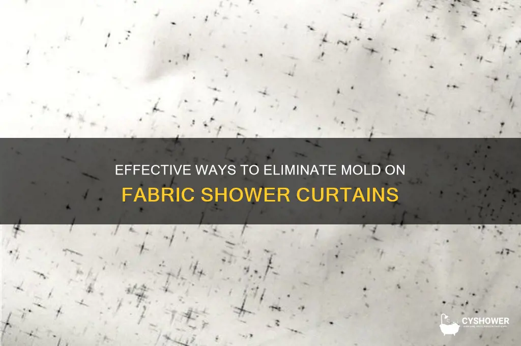 how to kill mold on a fabric shower curtain
