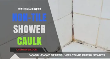 Effective Ways to Eliminate Mold on Non-Tile Shower Caulk
