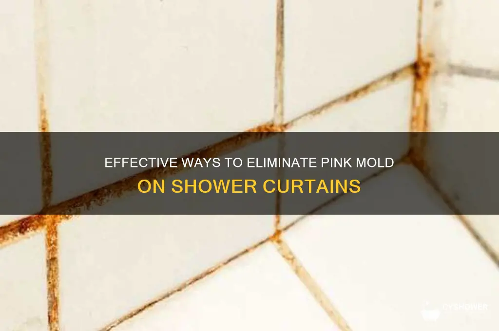how to kill pink mold on shower in shower curtains
