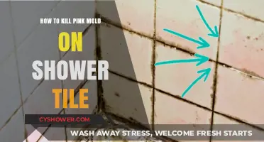 Effective Ways to Eliminate Pink Mold from Shower Tiles Permanently