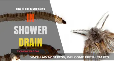 Effective Ways to Eliminate Sewer Larva in Your Shower Drain