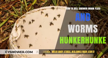 Effective Ways to Eliminate Shower Drain Flies and Worms Permanently