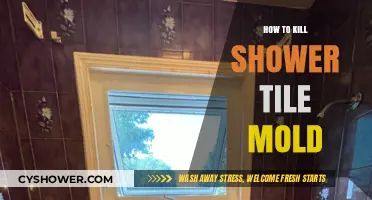 Effective Ways to Eliminate Shower Tile Mold for Good