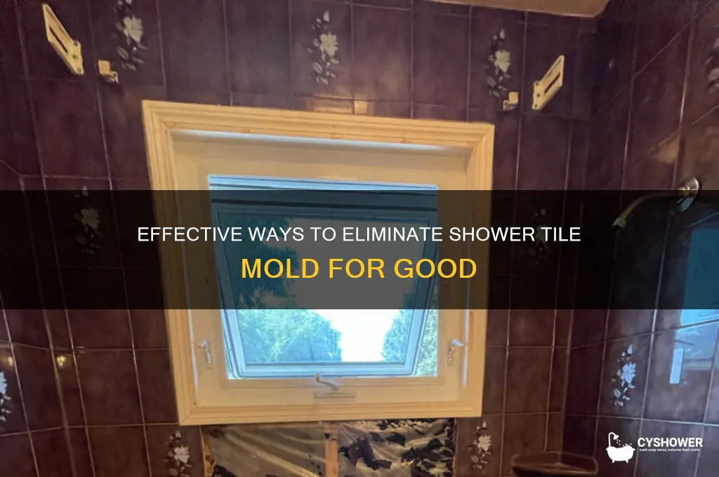 how to kill shower tile mold