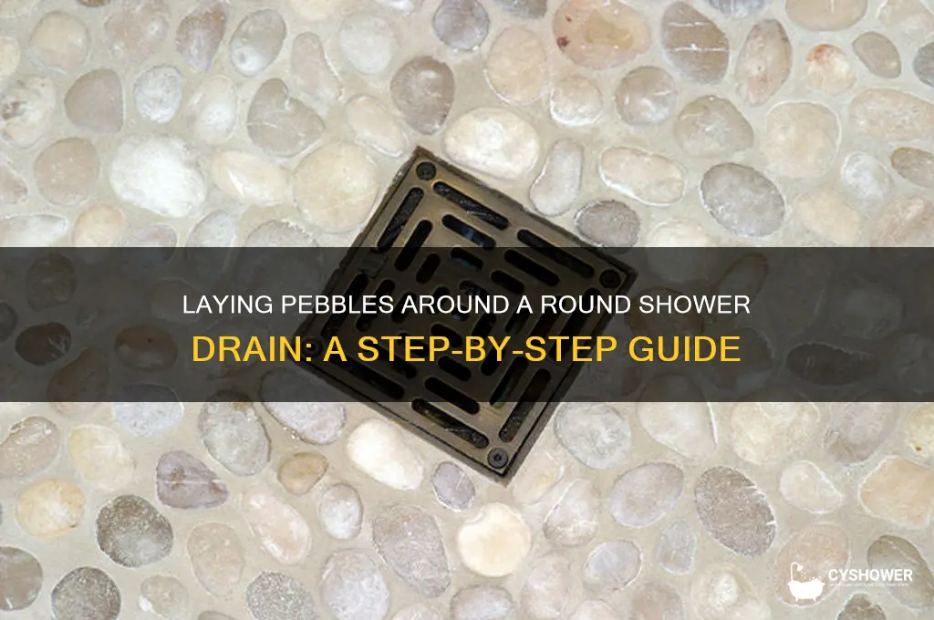 how to lay pebble around round shower drain