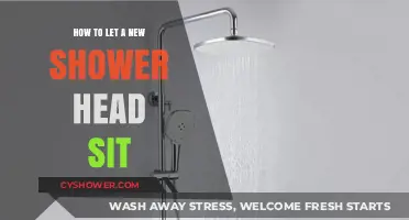 Properly Installing Your New Shower Head: Tips for a Perfect Fit