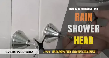 Easy Steps to Loosen a Stuck Bolt on Your Rain Shower Head