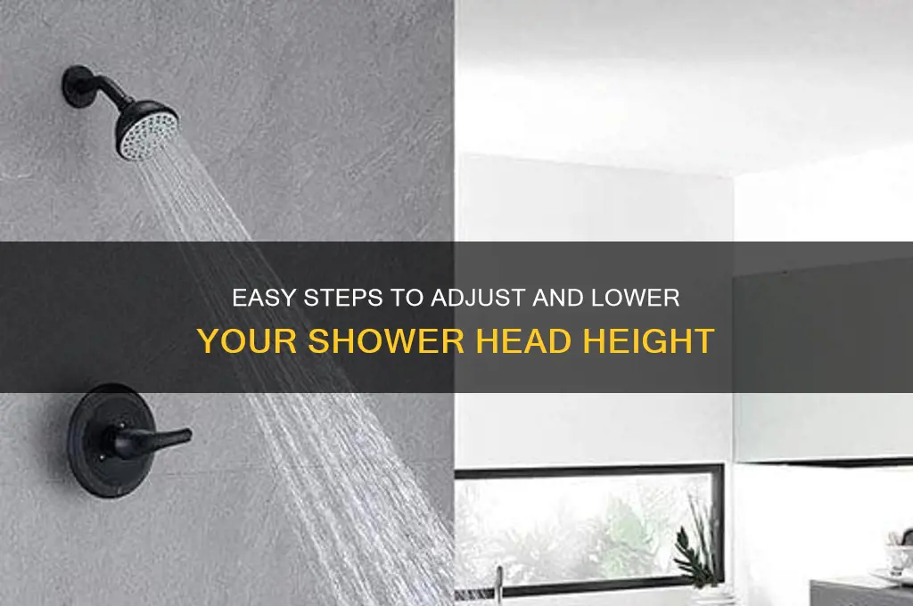 how to lower a shower head