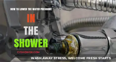 Easy Fixes to Reduce High Shower Water Pressure Effectively