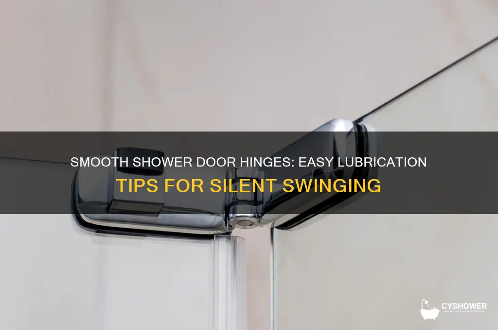 how to lubricate a shower door hinge