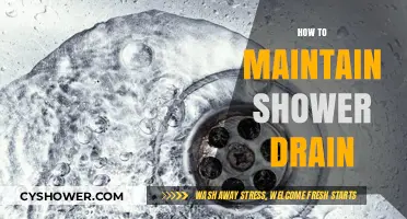 Effective Tips for Keeping Your Shower Drain Clean and Clog-Free