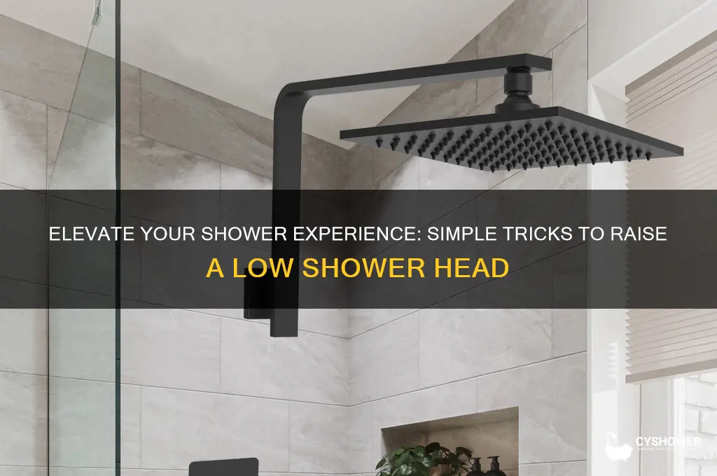 how to make a low shower head higher