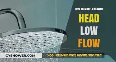 Easy DIY Tips to Convert Your Shower Head to Low Flow