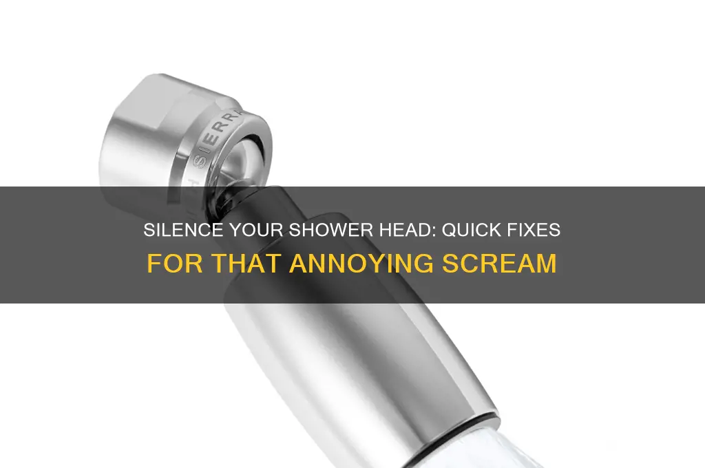 how to make a shower head stop screaming