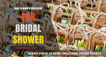 Crafting Succulent Favors: A Bridal Shower DIY Guide